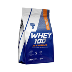 Протеин WHEY 100 NEW FORMULA 700 г два шоколада